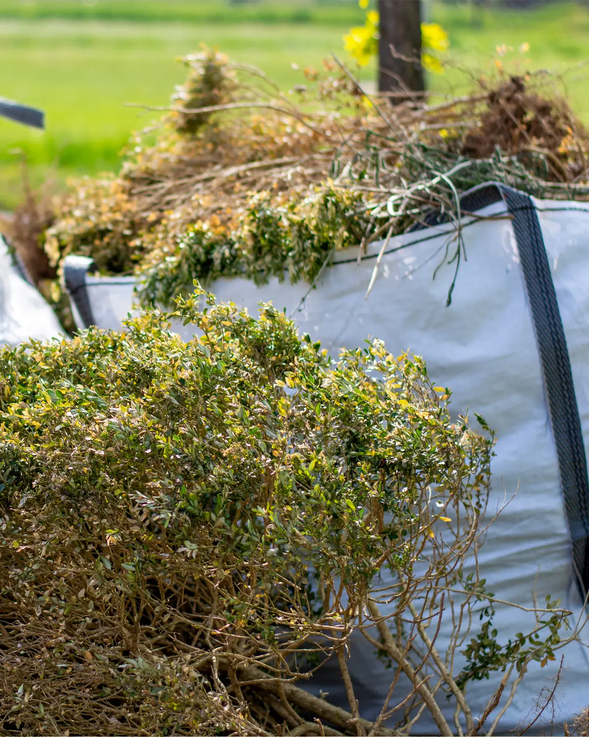 garden-waste-clearance-1
