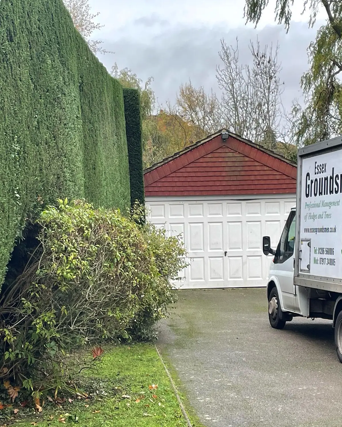 hedge-trimming-essex-groundsmen-2