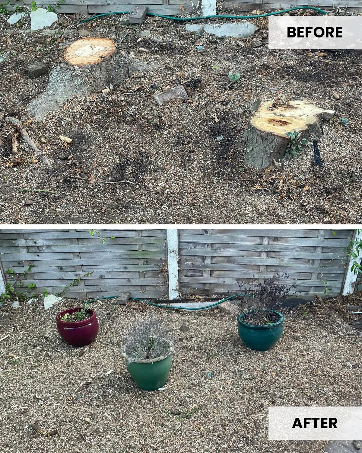 tree-stump-grinding-essex-1 tree-stump-grinding-essex-1