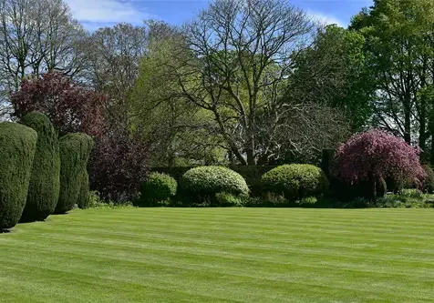 domestic-grounds-maintenance-essex domestic-grounds-maintenance-essex